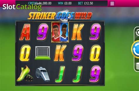 striker goes wild slot|Striker Goes Wild Slot Review 2024 .